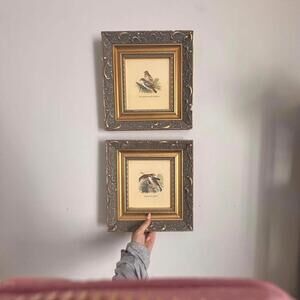 Vintage Bird Prints – Set of 2 Framed Illustrations (Crossbill & Shrike)